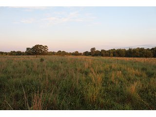 Tract 9 - LAND AUCTION - 440+/- Acres offered in 15 Tracts in Tulsa County
